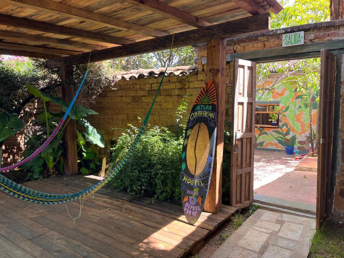 The Coffee Bean Hostel Сан-Кристобаль-де-Ла-Касас Экстерьер фото