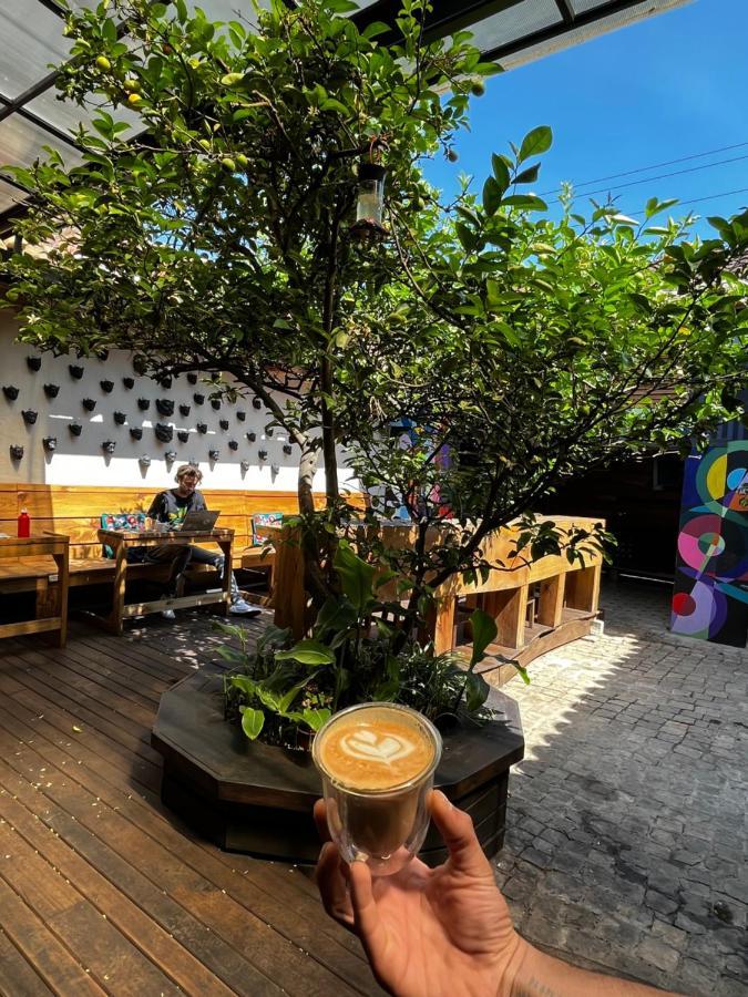 The Coffee Bean Hostel Сан-Кристобаль-де-Ла-Касас Экстерьер фото