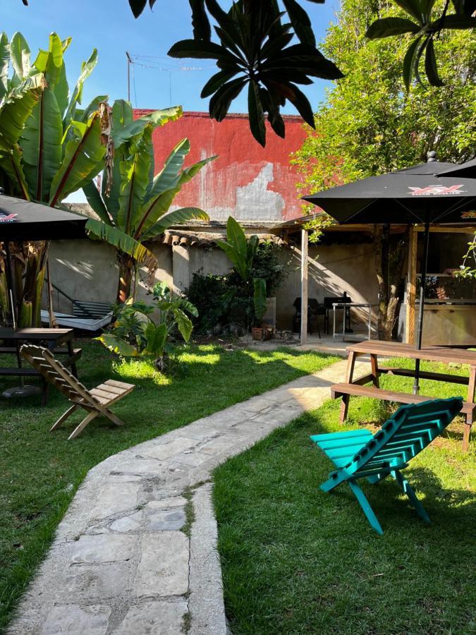 The Coffee Bean Hostel Сан-Кристобаль-де-Ла-Касас Экстерьер фото