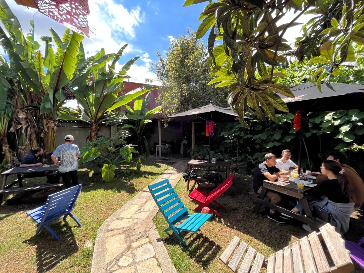 The Coffee Bean Hostel Сан-Кристобаль-де-Ла-Касас Экстерьер фото