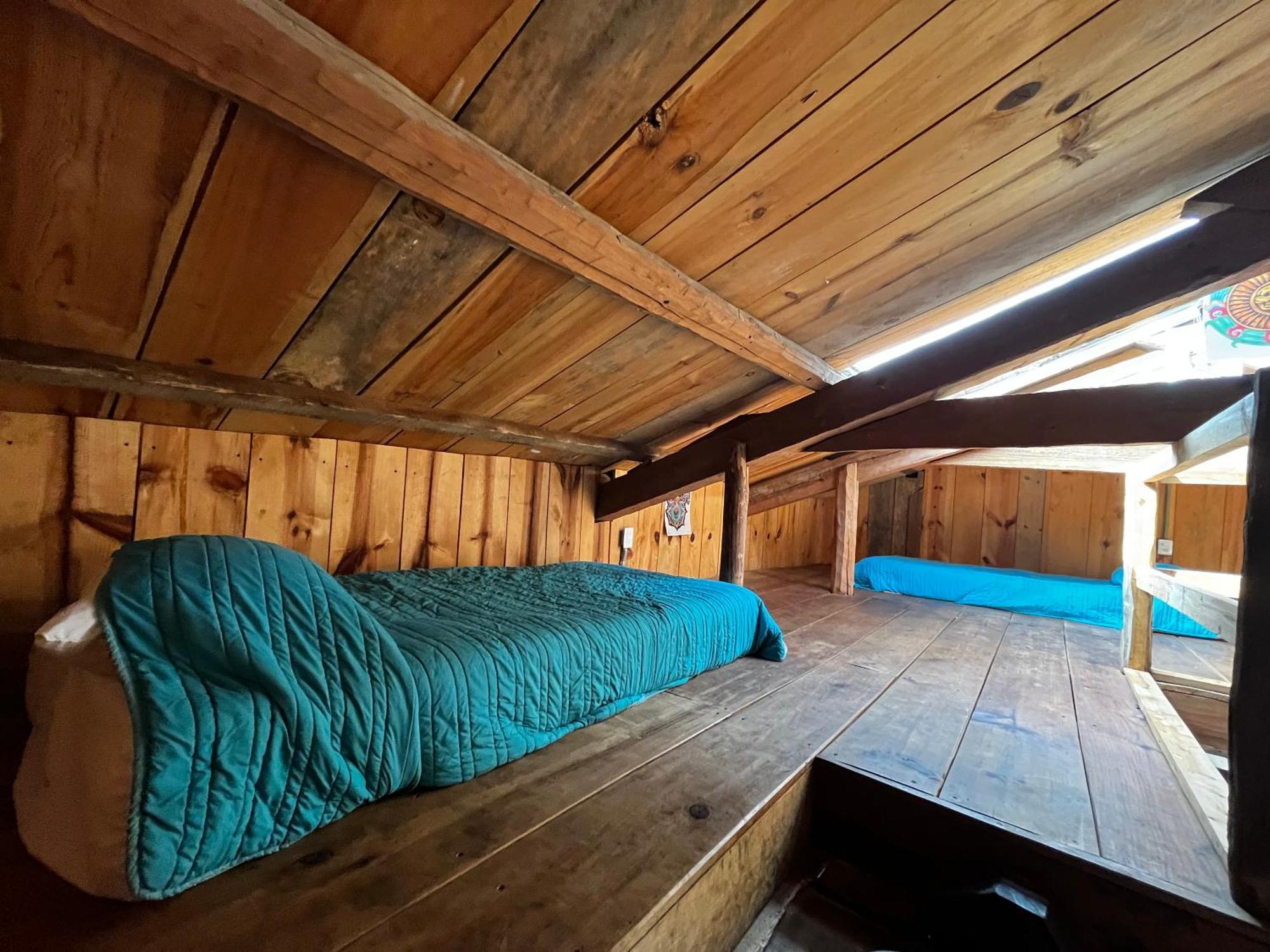 The Coffee Bean Hostel Сан-Кристобаль-де-Ла-Касас Экстерьер фото