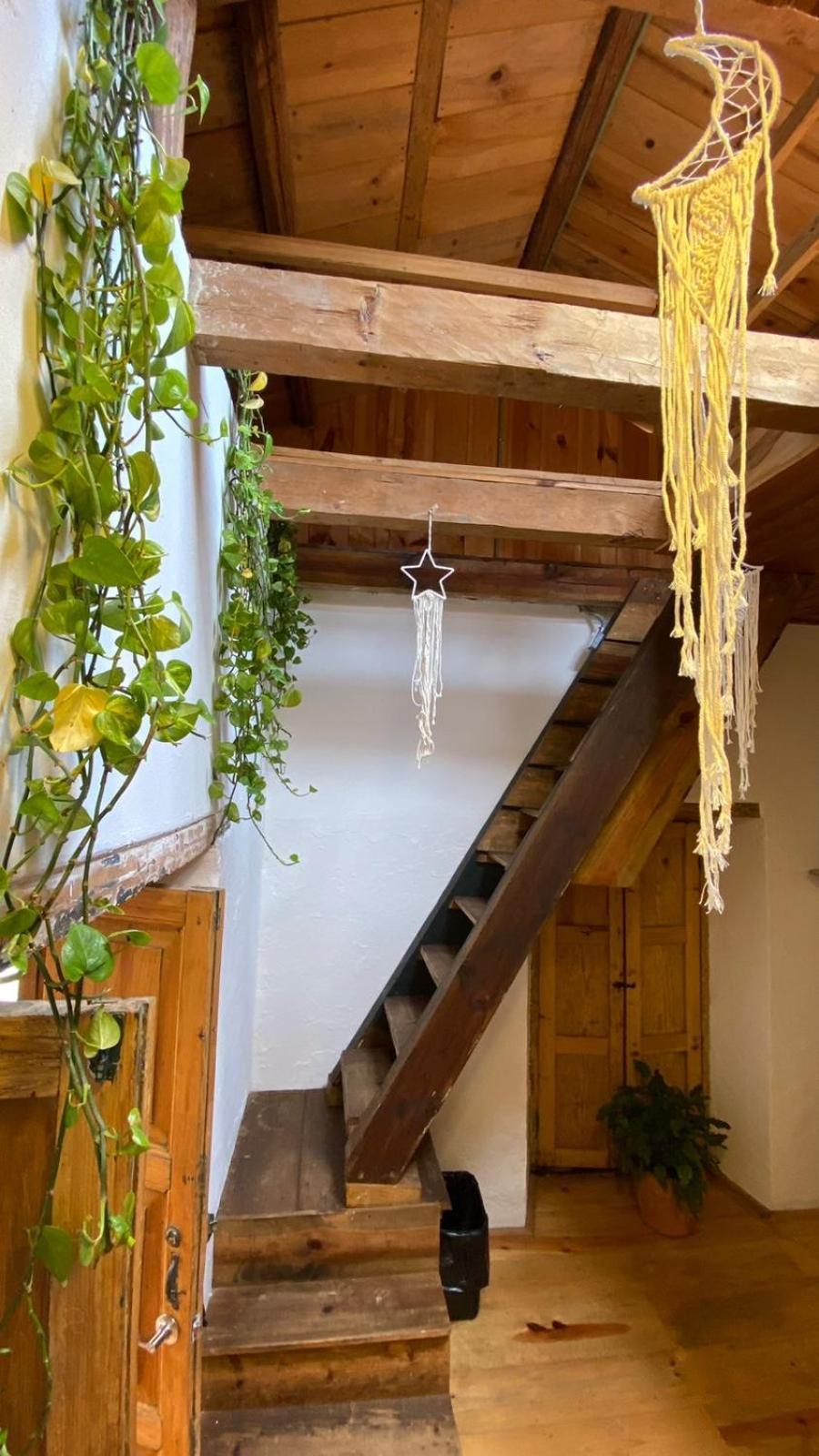 The Coffee Bean Hostel Сан-Кристобаль-де-Ла-Касас Экстерьер фото